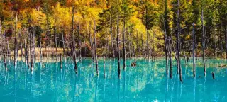 Japan: 'Spirit of the North' Tour