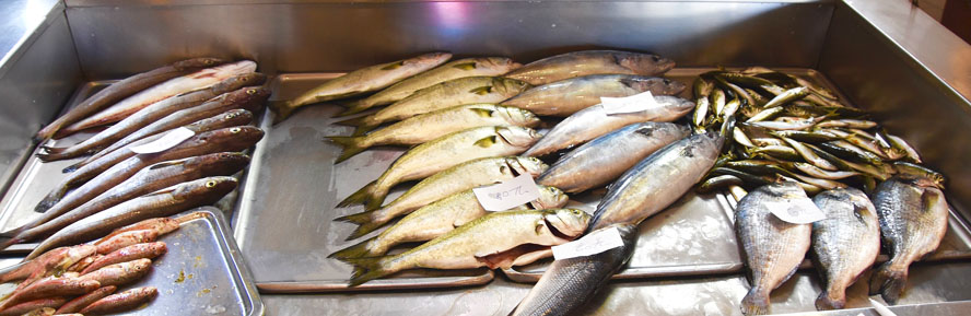 Fresh Fish on Order, Gelibolu Batik Restaurant. Gallipoli – A WWI Tragedy Revisited