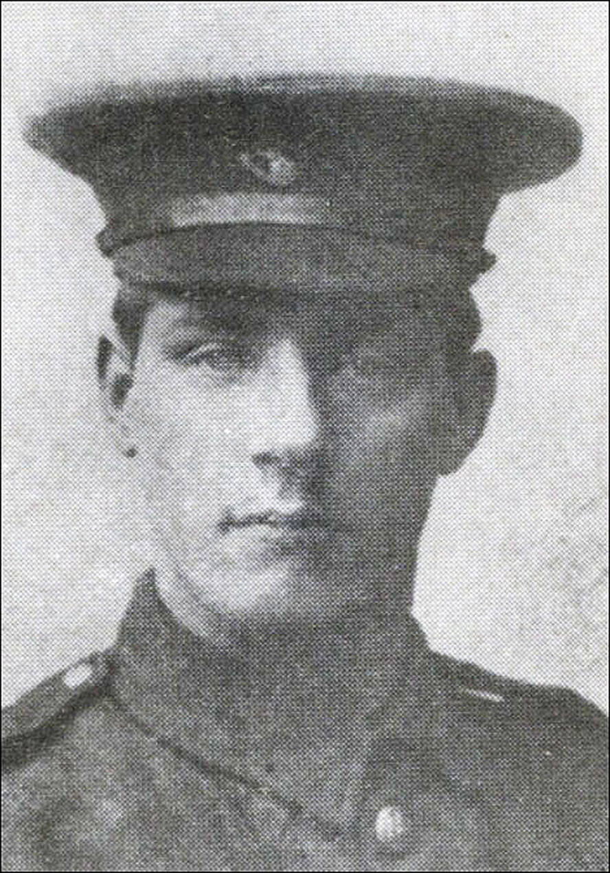 Private William Frank Hardy. Gallipoli – A WWI Tragedy Revisited