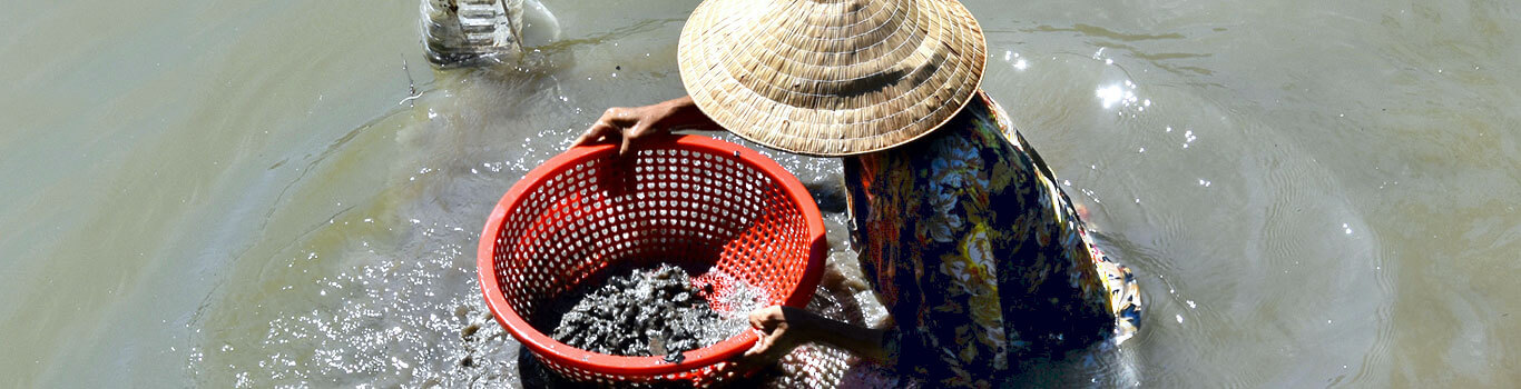 Mekong Delta - Vietnam's Endangered Lowlands