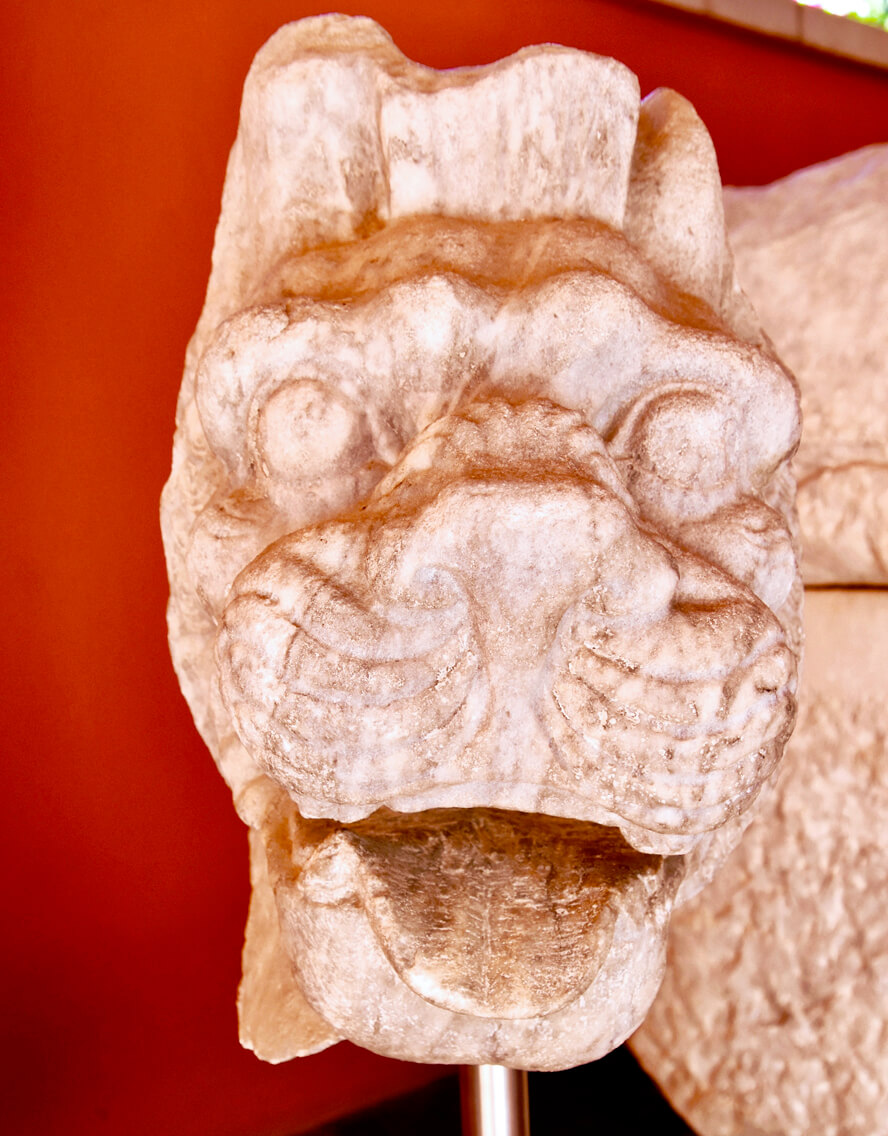 Head of a Griffin. The Ephesus Museum, Selcuk, Turkey.