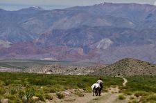 Collecting wood near the limestone mountains of Humahuaca | Location: Salta,  Argentina