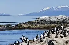 In the Beagle Channel on a calm and sunny day | Location: Ushuaia,  Argentina