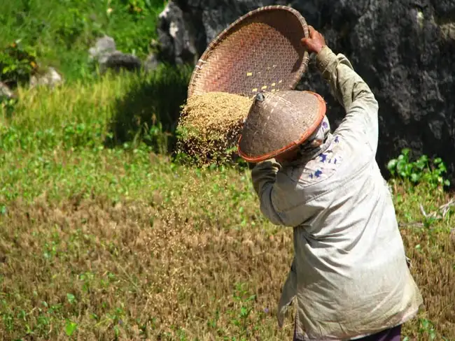 Location: Indonesia