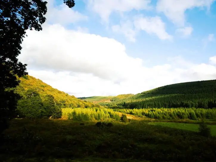 Wicklow | Location: Ireland