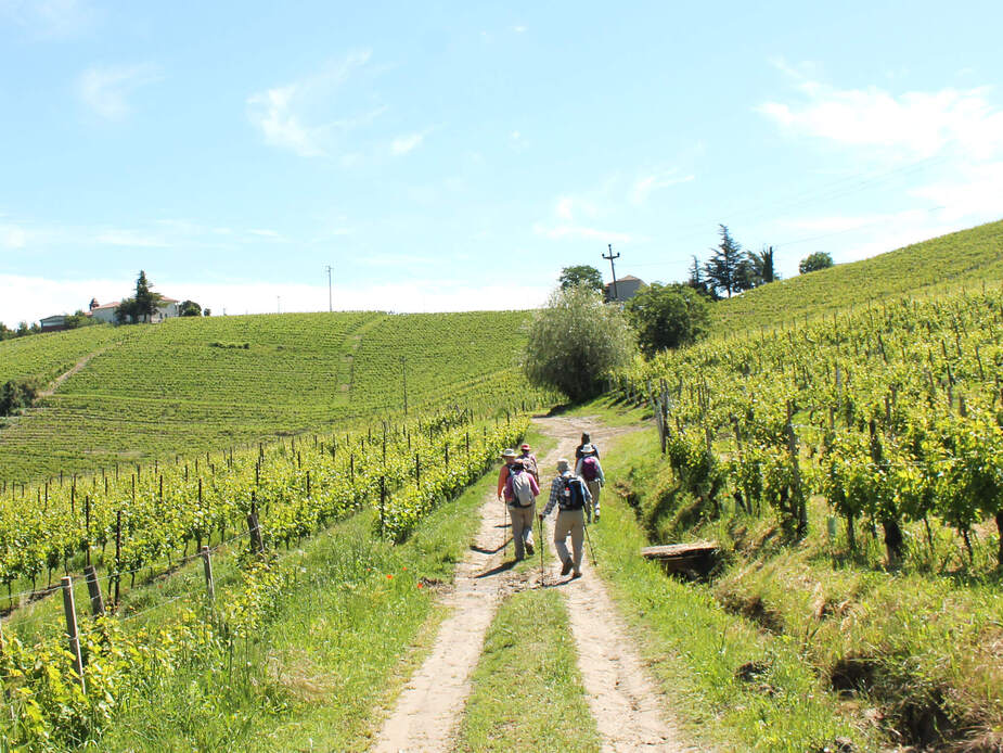 Nizza Monferrato, Hike | Location: Asti,  Italy