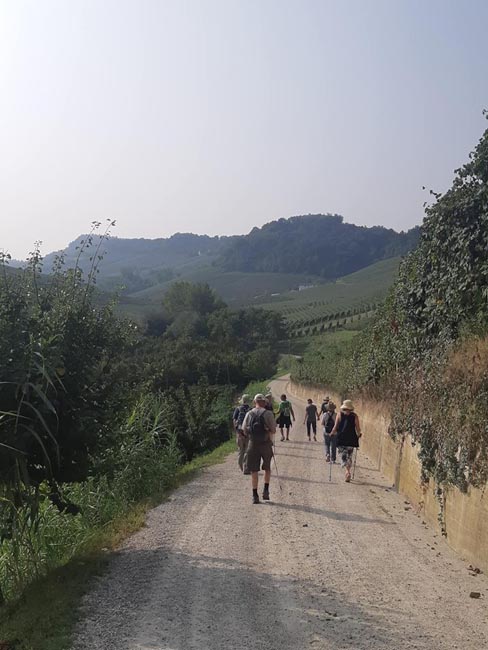 Monferrato Hill District | Location: Asti,  Italy