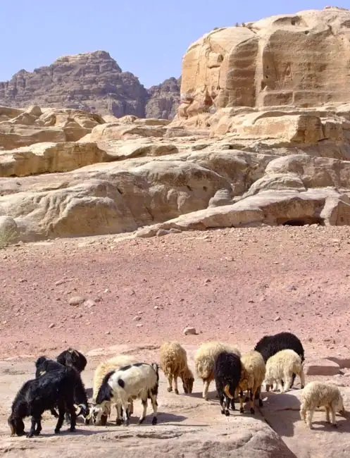 Location: Petra,  Jordan