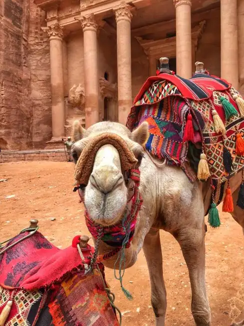 Making friends at Petra | Location: Petra,  Jordan