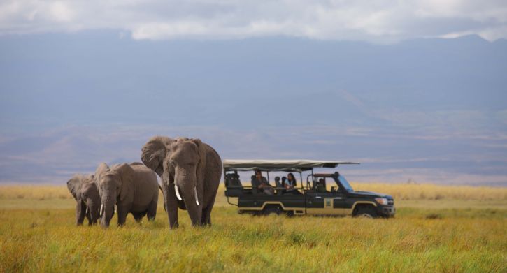 Location: Amboseli National Park,  Kenya