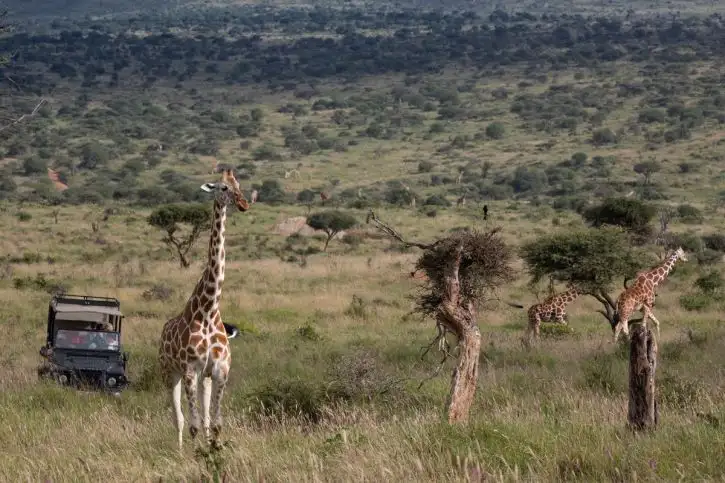 Elewana Loisaba Tented Camp | Location: Loisaba Conservancy,  Kenya