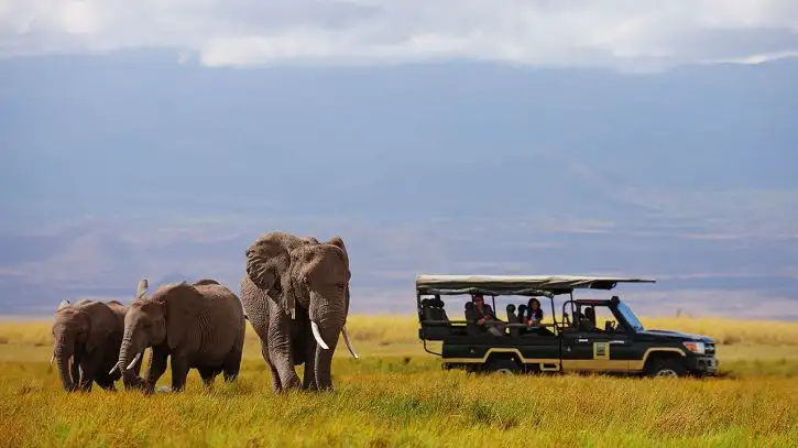 Elewana Tortilis Camp Amboseli | Location: Amboseli National Park,  Kenya