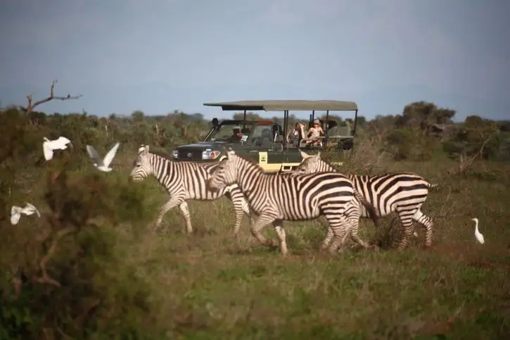 Elewana Tortilis Camp Amboseli | Location: Amboseli National Park,  Kenya