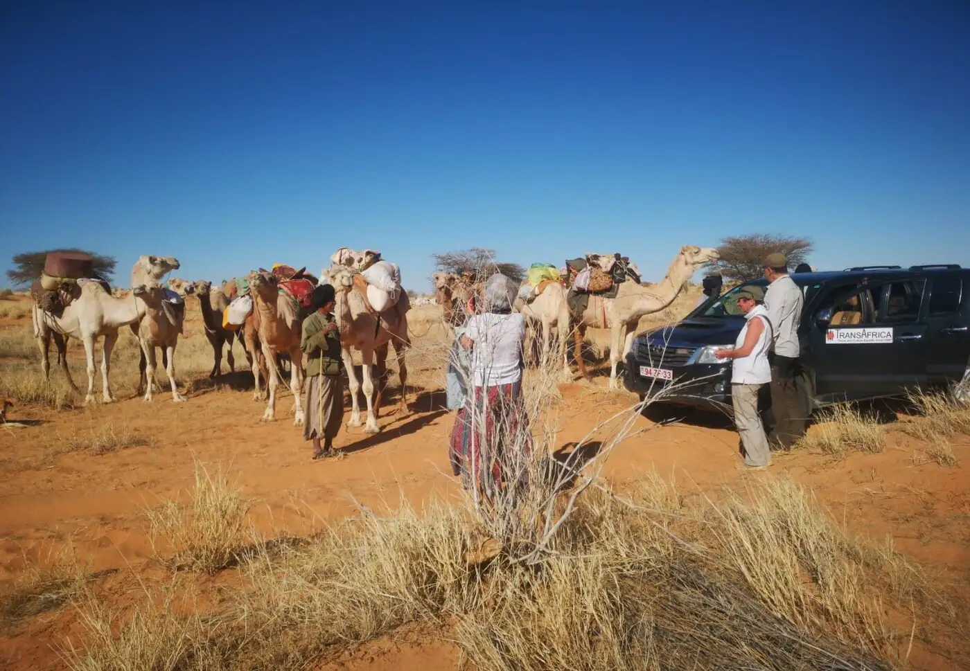 Mauritania | Location: Mauritania