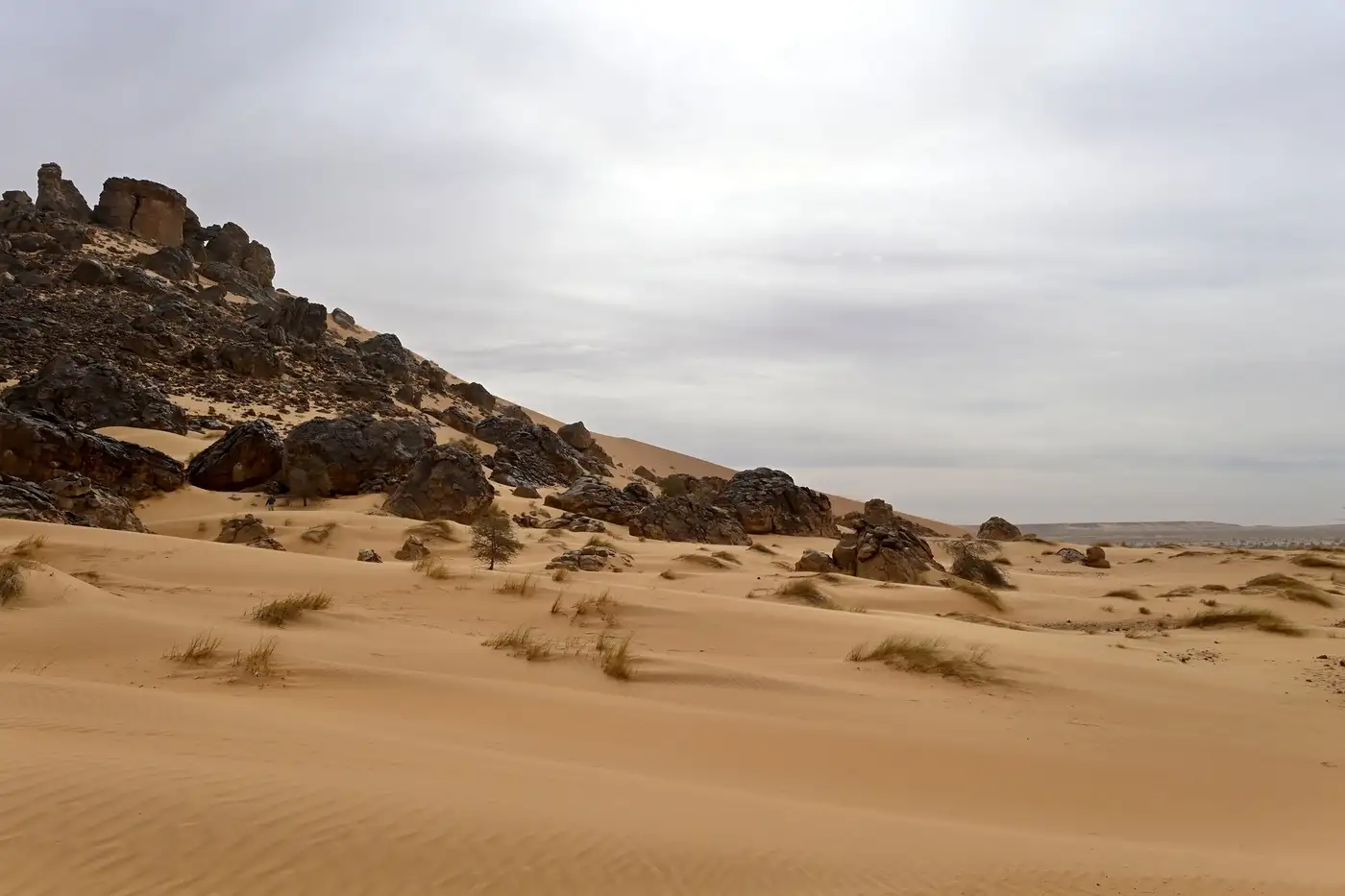 Mauritania | Location: Mauritania