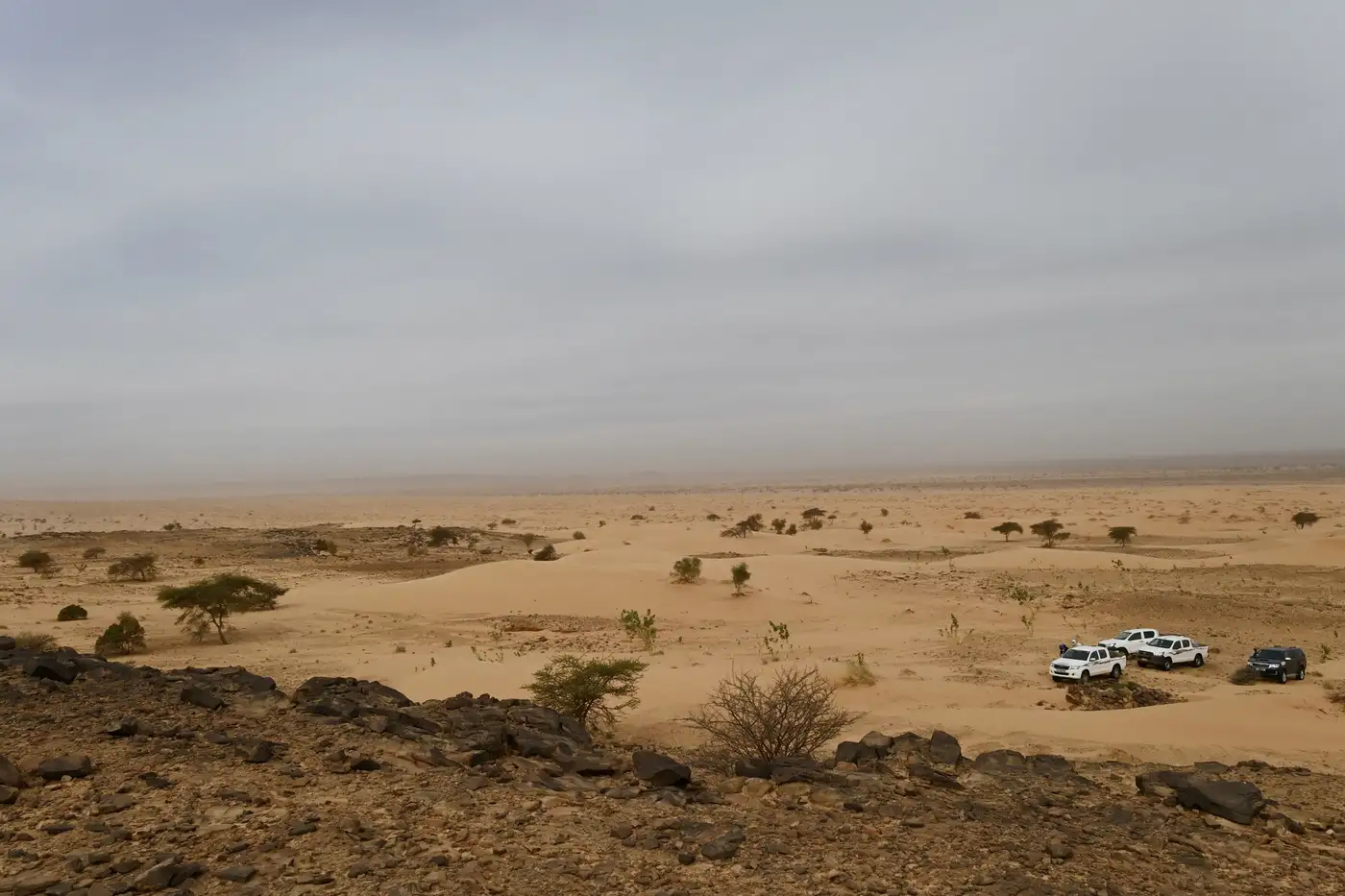 Mauritania | Location: Mauritania