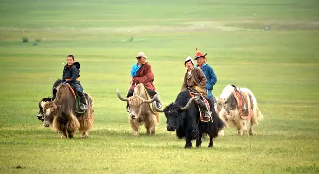 Location: Mongolia