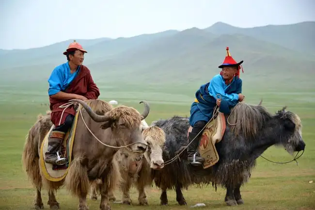 Location: Mongolia