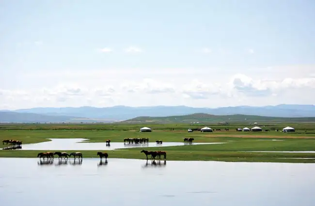 Central Mongolia | Location: Mongolia