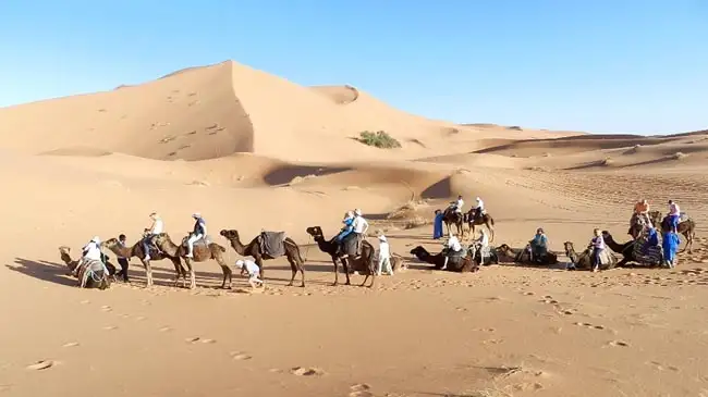 Merzouga Camel Ride | Location: Merzouga,  Morocco