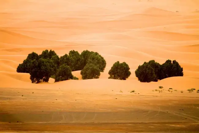 The Sahara Desert | Location: Merzouga,  Morocco