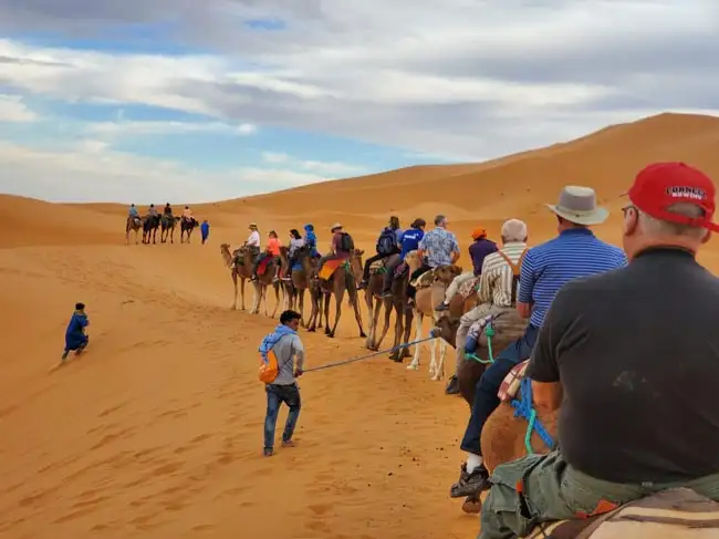 Camel excursion | Location: Merzouga,  Morocco