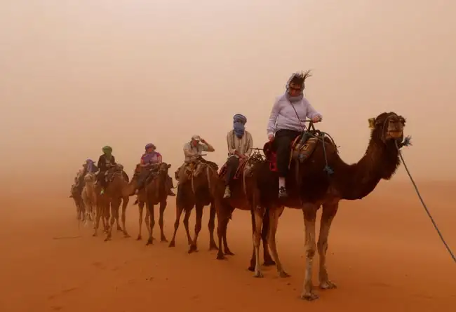 Trip highlight - sandstorm camel adventure | Location: Merzouga,  Morocco