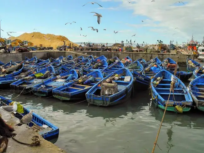 Blue fishing doreys - by D. Hadley. 2020 Photo Contest Winner | Location: Essaouira,  Morocco