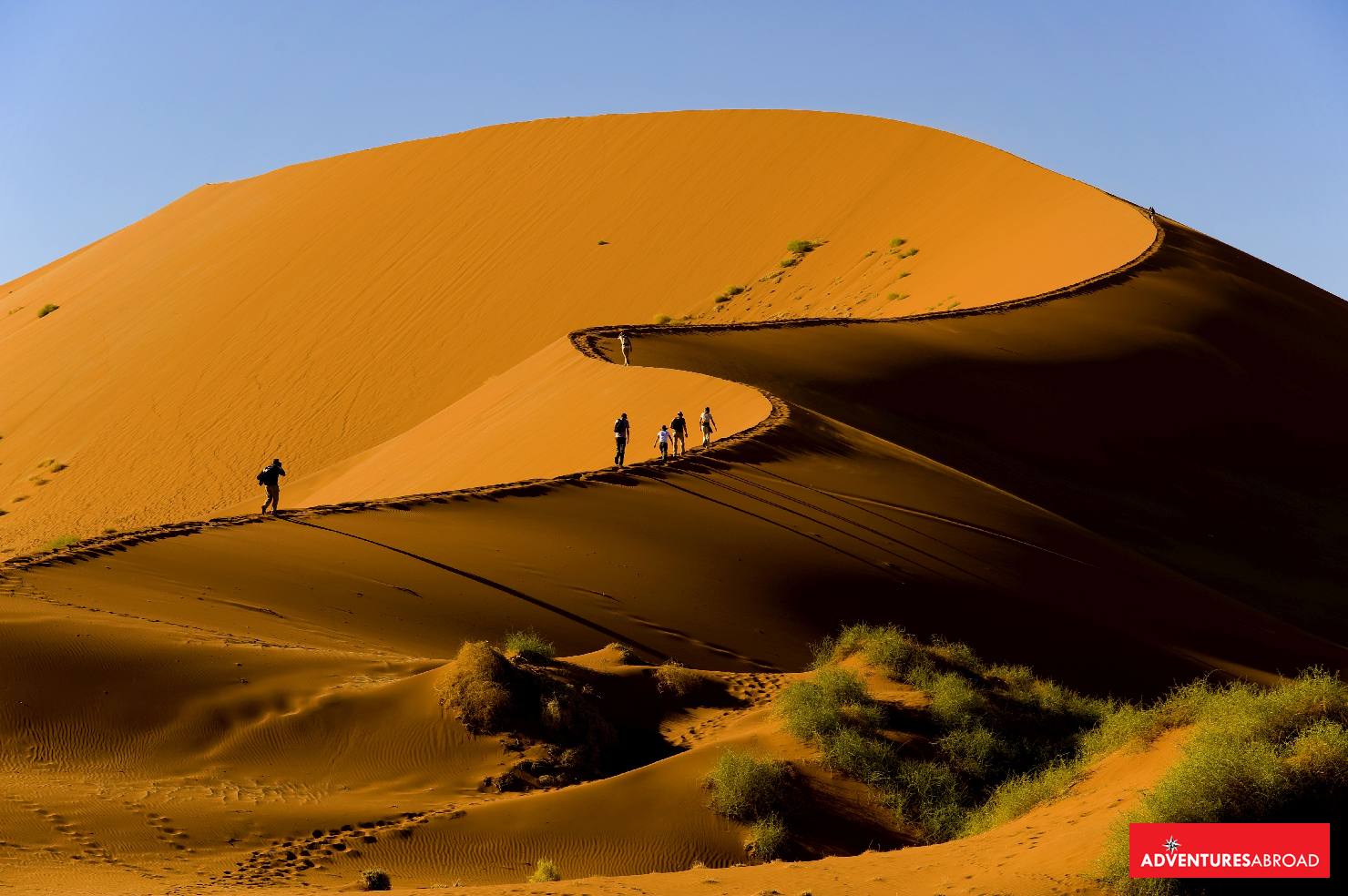 Day Namibia Tour Explore The Africa S Undiscovered Wildlife Gem 39060 | Hot  Sex Picture