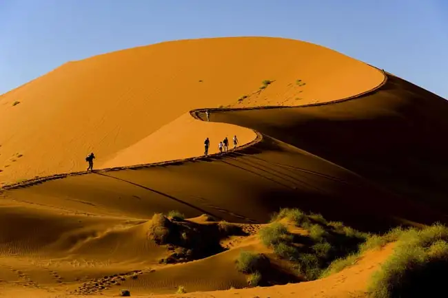 Location: Namib-Naukluft National Park,  Namibia