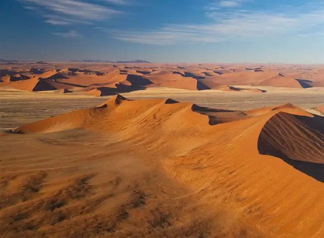 Location: Namib-Naukluft National Park,  Namibia