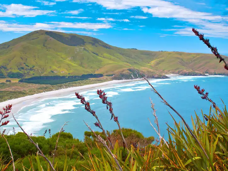 Arthur's Pass | Location: Christchurch,  New Zealand