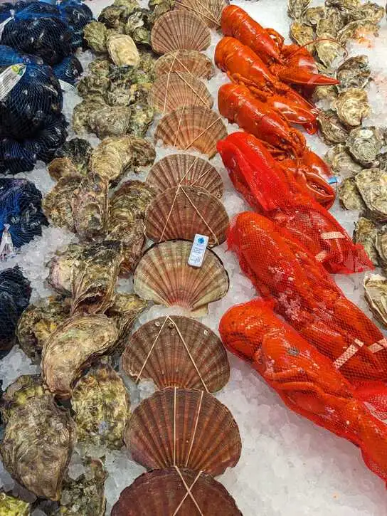 Waterfront fish market | Location: Bergen,  Norway