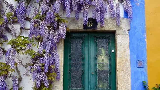 Springtime in Obidos | Location: Portugal