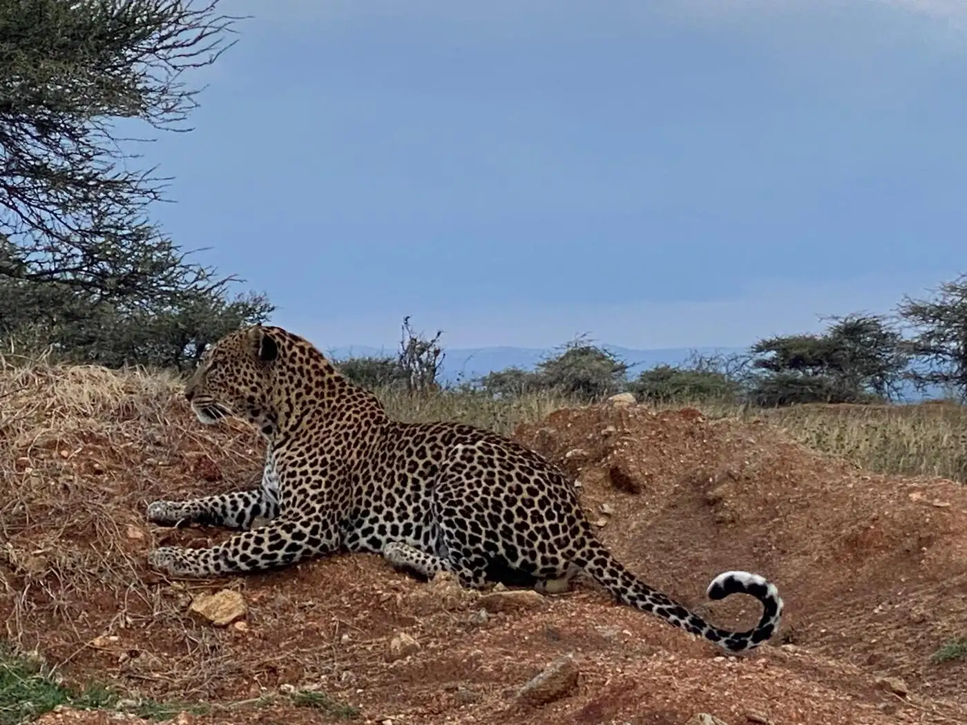 Location: Akagera National Park,  Rwanda