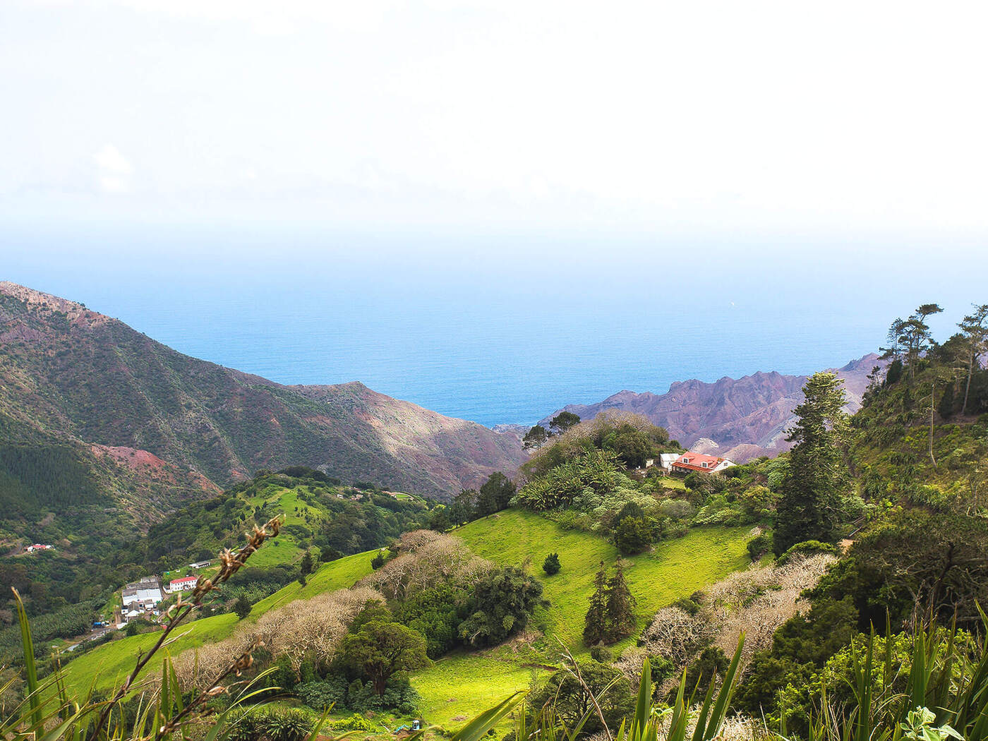 Saint Helena | Location: Jamestown,  Saint Helena