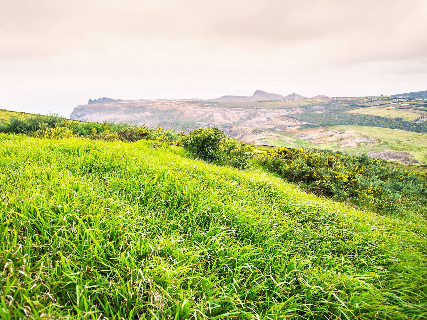 Saint Helena | Location: Jamestown,  Saint Helena