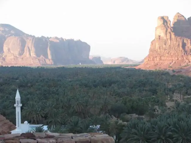 Al Ula oasis | Location: Al Ula,  The Kingdom of Saudi Arabia