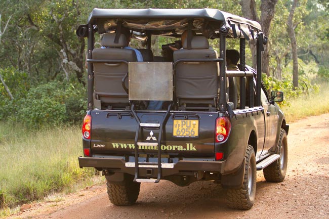 Mahoora Safari | Location: Wilpattu National Park,  Sri Lanka