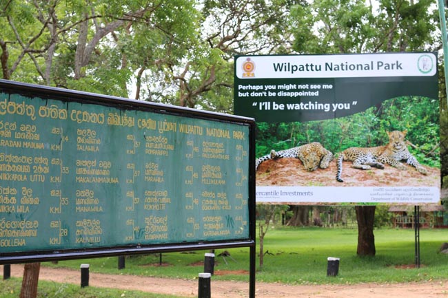 Mahoora Safari | Location: Wilpattu National Park,  Sri Lanka