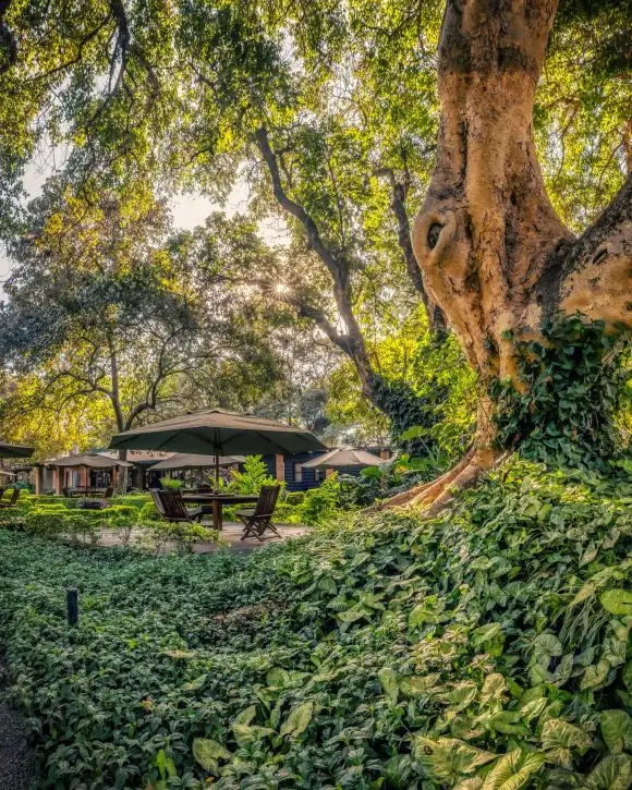 Elewana Arusha Coffee Lodge | Location: Arusha,  Tanzania