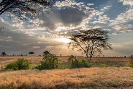 Ole Serai Luxury Camp-Turner Springs | Location: Serengeti National Park,  Tanzania