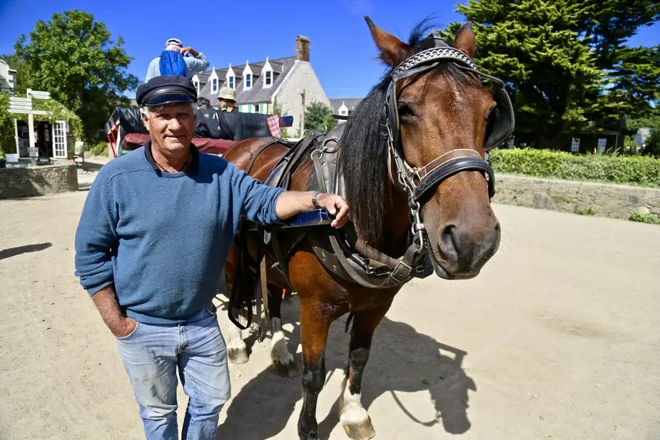 Horse-drawn Carriage on the Island of Sark | Location: Guernsey Island,  United Kingdom