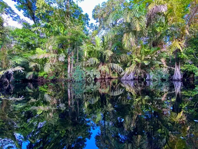 Exploring the waterways and canals | Location: Tortuguero,  Costa Rica