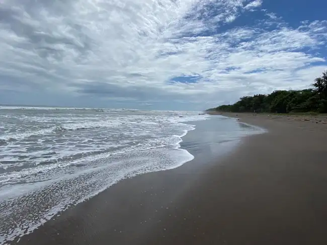 The wild Caribbean coast | Location: Tortuguero,  Costa Rica