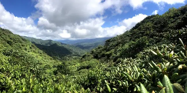 Location: Monteverde,  Costa Rica