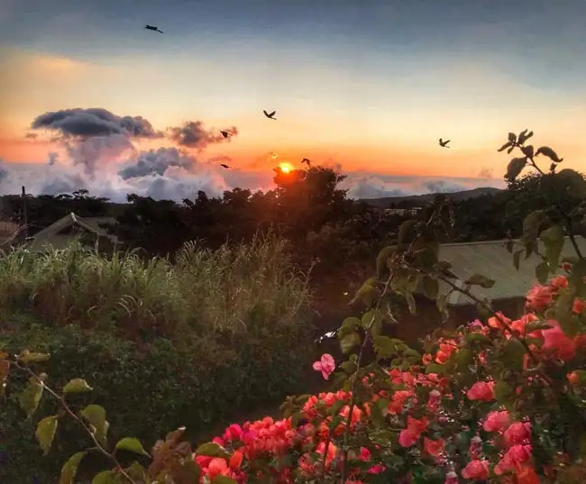 Location: Monteverde,  Costa Rica