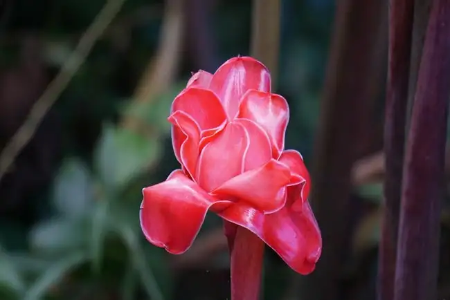 Location: Monteverde,  Costa Rica