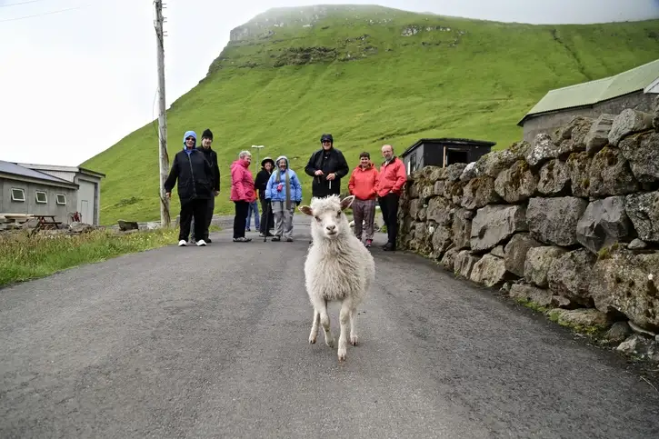 Faroe Islands | Location: Denmark