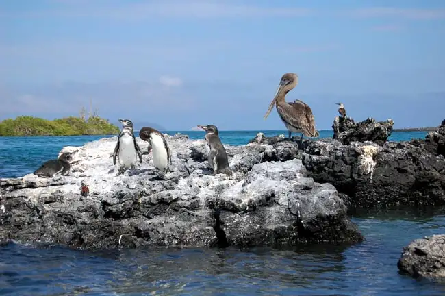 Galapagos | Location: Ecuador